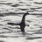 Jerry Waters