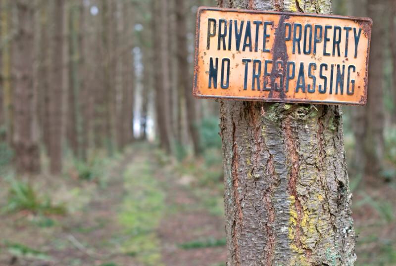 No trespassing sign on a tree in the forest