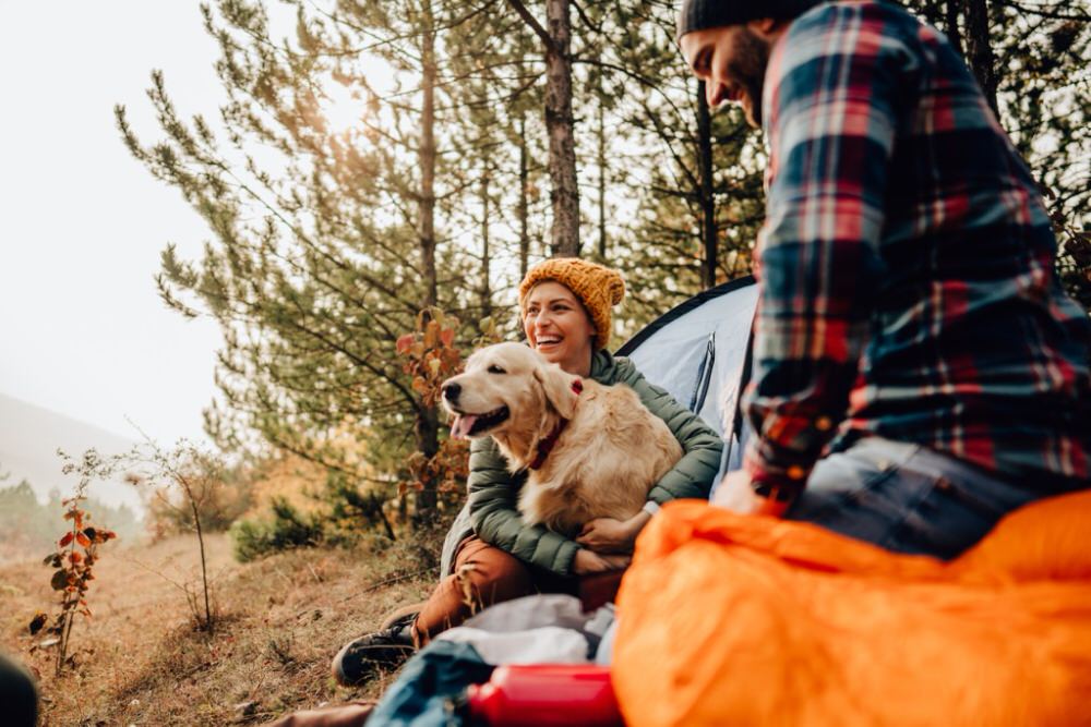 Two people camping in the forest with their dog