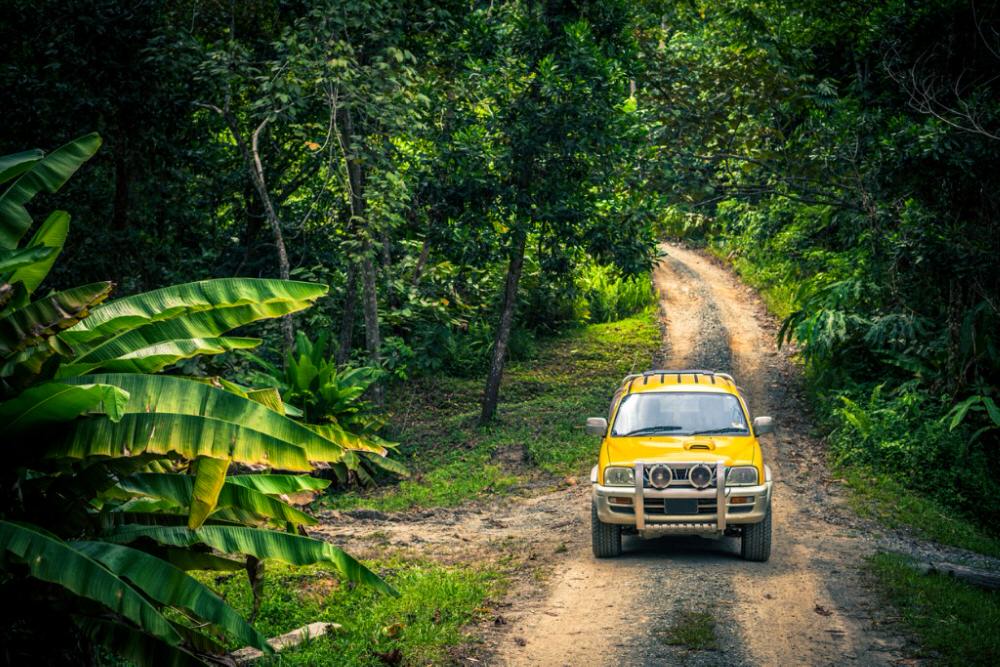 Yellow 4x4 driving in jungle