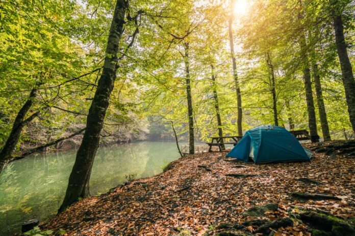 Tent in the forest by a stream