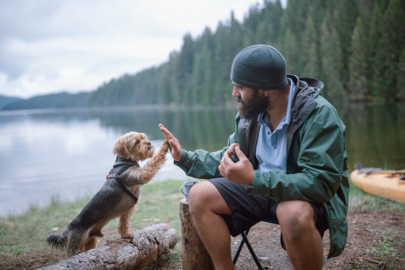 man playing with dog while camping near a lake