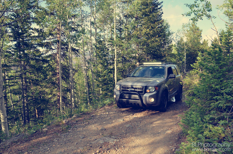 SUV in the forest on a dirt road