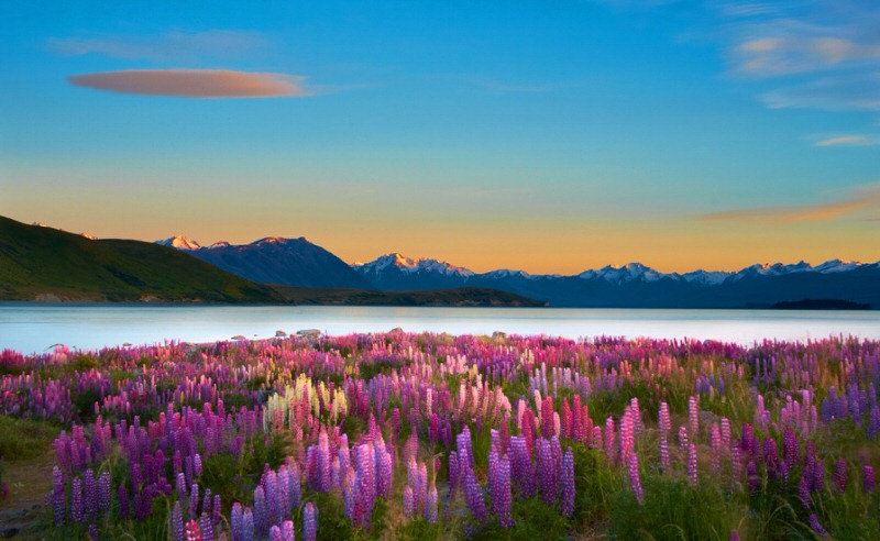 Beautiful Lakes to Visit in 2021 Lake Tekapo in New Zealand