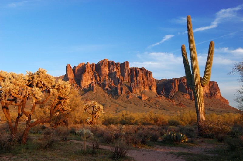 Best Places to Camp in Arizona Lost Dutchman State Park