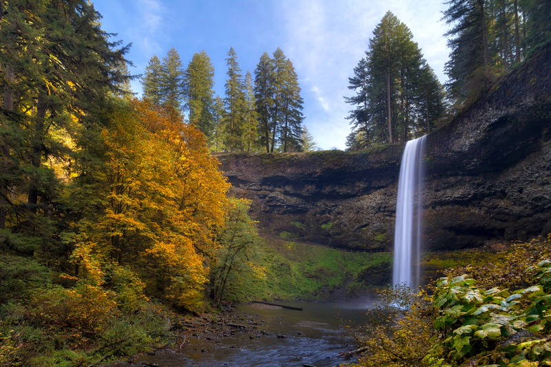 Best Campgrounds in Oregon Silver Falls State Park Campground