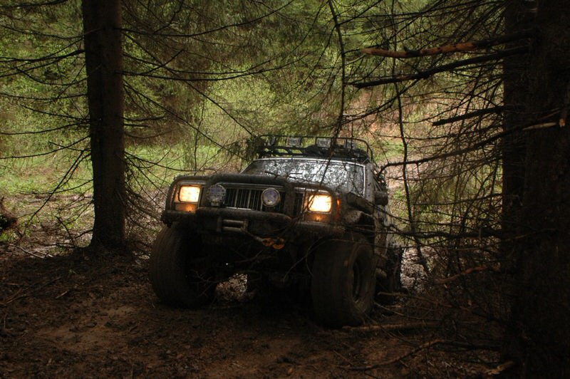 SUV in the forest
