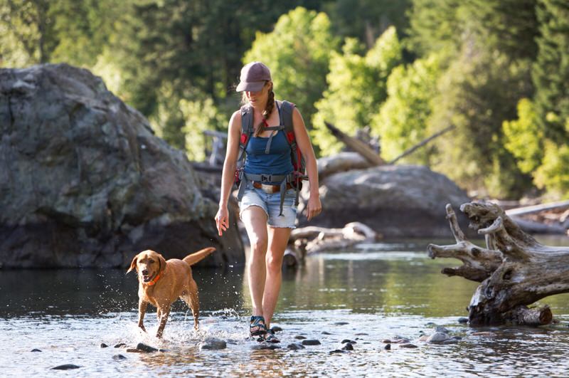 woman walking in a creek with her dog