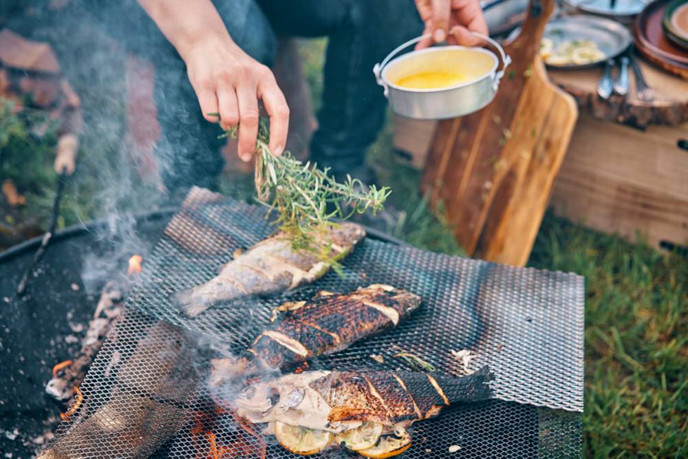 Cooking fish on a camp fire
