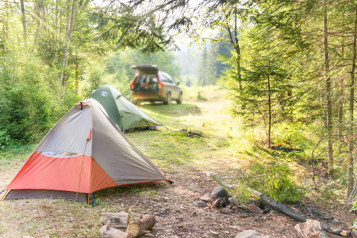 overland camping in the woods