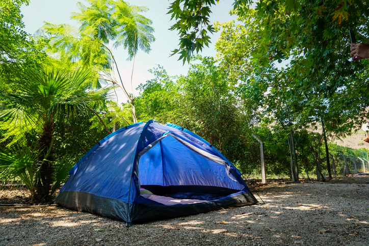 Tent set up in nature, under trees