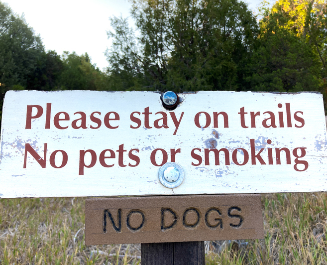Make Sure Dogs Are Allowed