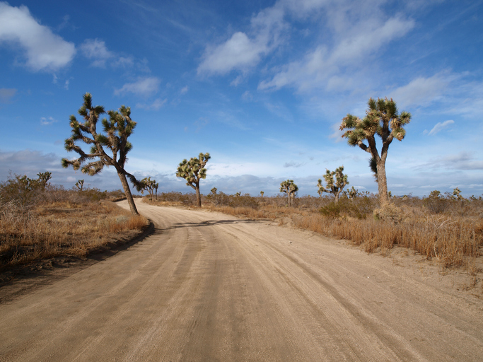 Southern California overlanding - Joshua Tree Lane