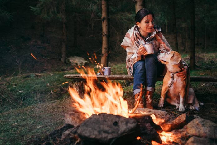 Woman and beagle dog warm near the campfire