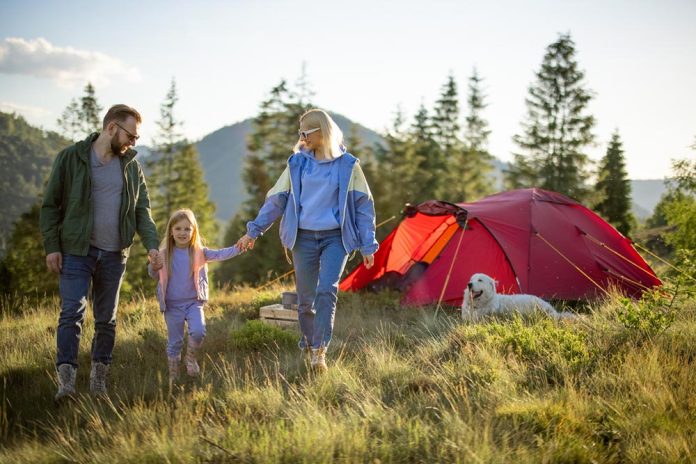 tips for tent camping with dogs