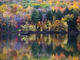 Colorful Canadian fall reflection in Mont-Saint-Bruno National Park