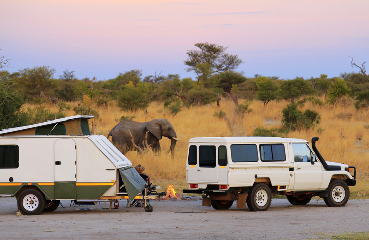 4x4 with camper trailer on the savannah with an elephant 