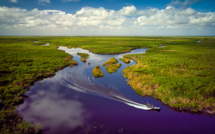 Aerial View of Florida Everglades