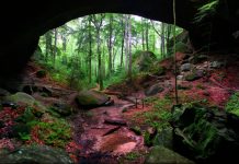 Natural Bridge hidden in the forests of northern Alabama - USA