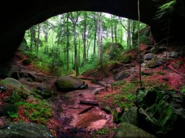 Natural Bridge hidden in the forests of northern Alabama - USA